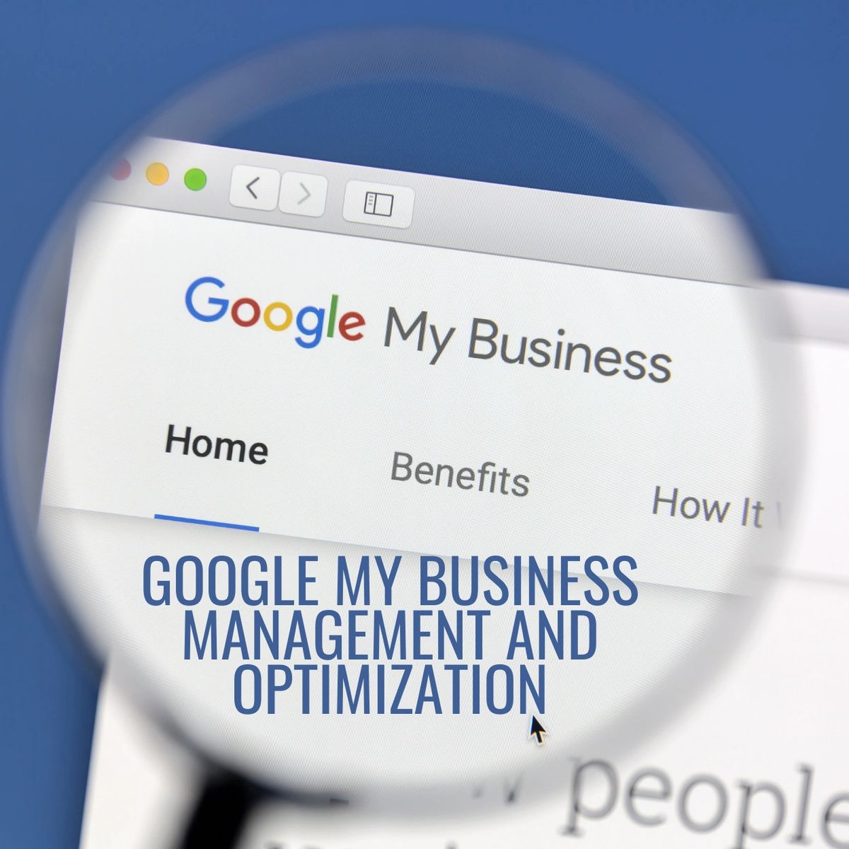 Google My Business Management and Optimization